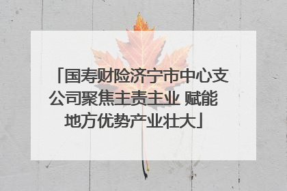 国寿财险济宁市中心支公司聚焦主责主业 赋能地方优势产业壮大