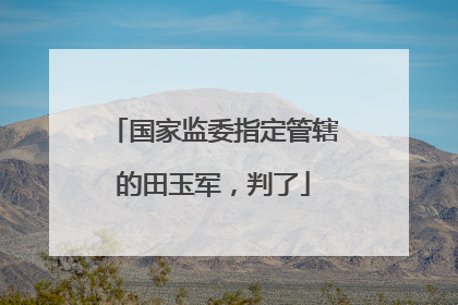 国家监委指定管辖的田玉军，判了