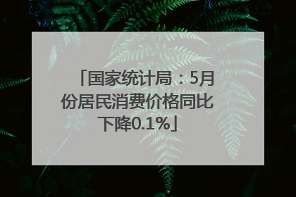 国家统计局：5月份居民消费价格同比下降0.1%