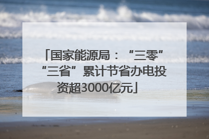 国家能源局：“三零”“三省”累计节省办电投资超3000亿元
