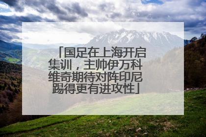 国足在上海开启集训，主帅伊万科维奇期待对阵印尼踢得更有进攻性