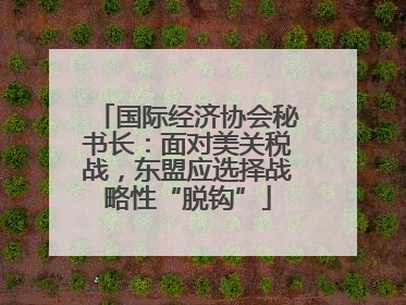 国际经济协会秘书长：面对美关税战，东盟应选择战略性“脱钩”