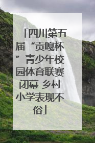 四川第五届“贡嘎杯”青少年校园体育联赛闭幕 乡村小学表现不俗