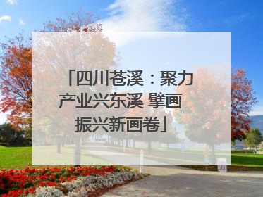 四川苍溪：聚力产业兴东溪 擘画振兴新画卷