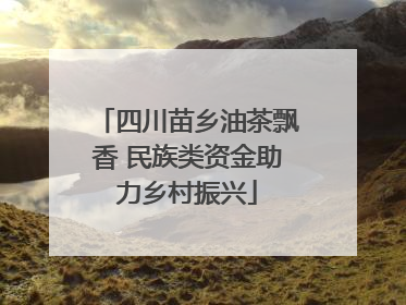 四川苗乡油茶飘香 民族类资金助力乡村振兴