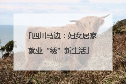 四川马边：妇女居家就业“绣”新生活