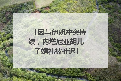 因与伊朗冲突持续，内塔尼亚胡儿子婚礼被推迟