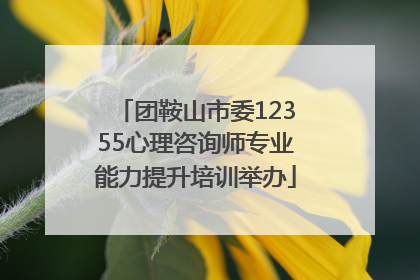 团鞍山市委12355心理咨询师专业能力提升培训举办