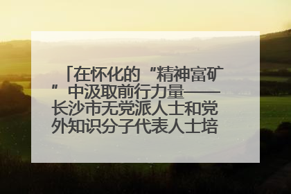 在怀化的“精神富矿”中汲取前行力量——长沙市无党派人士和党外知识分子代表人士培训班在怀化圆满举办