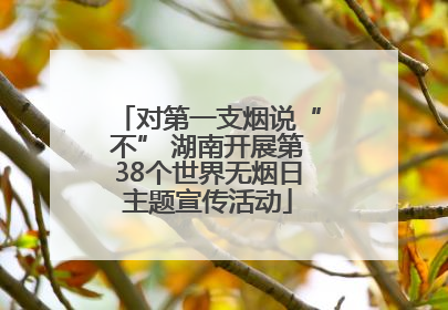 对第一支烟说“不” 湖南开展第38个世界无烟日主题宣传活动