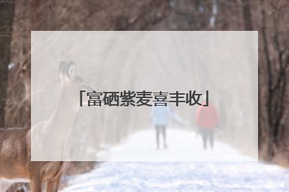 富硒紫麦喜丰收