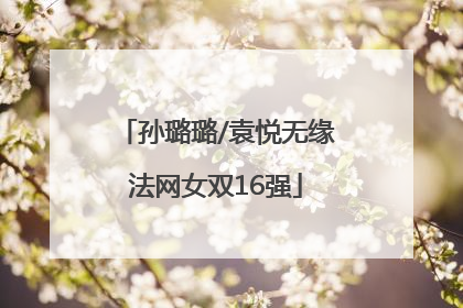 孙璐璐/袁悦无缘法网女双16强