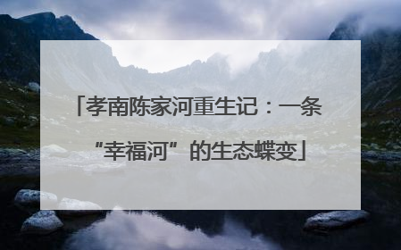 孝南陈家河重生记：一条“幸福河”的生态蝶变