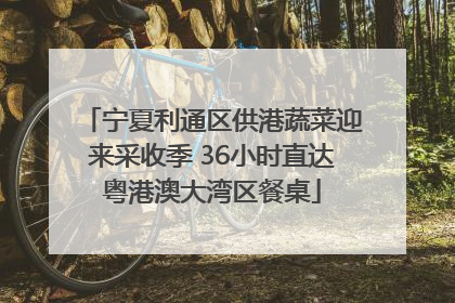 宁夏利通区供港蔬菜迎来采收季 36小时直达粤港澳大湾区餐桌