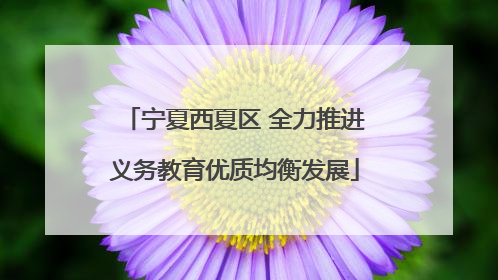 宁夏西夏区 全力推进义务教育优质均衡发展