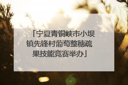 宁夏青铜峡市小坝镇先锋村葡萄整穗疏果技能竞赛举办