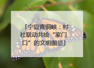宁夏青铜峡：村社联动共绘“家门口”的文明图景