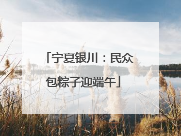宁夏银川：民众包粽子迎端午