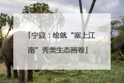宁夏：绘就“塞上江南”秀美生态画卷