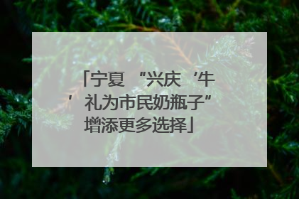 宁夏 “兴庆‘牛’礼为市民奶瓶子”增添更多选择