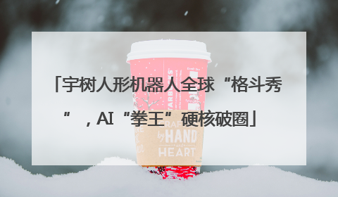 宇树人形机器人全球“格斗秀”，AI“拳王”硬核破圈