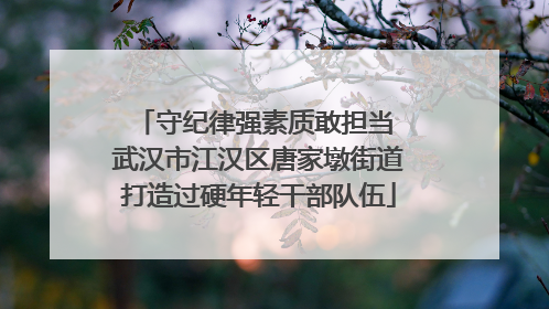 守纪律强素质敢担当 武汉市江汉区唐家墩街道打造过硬年轻干部队伍