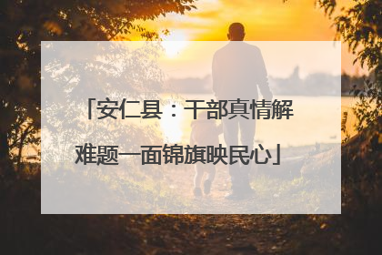 安仁县：干部真情解难题一面锦旗映民心