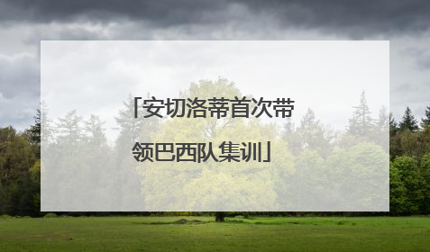 安切洛蒂首次带领巴西队集训