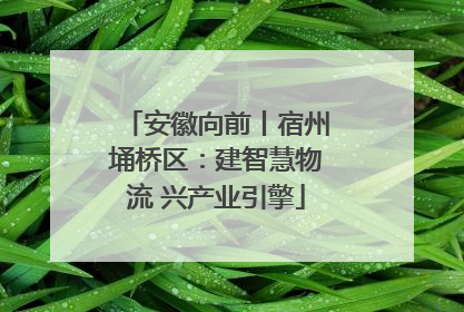安徽向前丨宿州埇桥区：建智慧物流 兴产业引擎