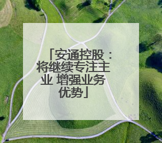 安通控股：将继续专注主业 增强业务优势