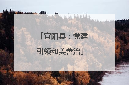 宜阳县：党建引领和美善治