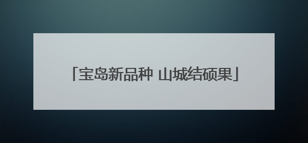 宝岛新品种 山城结硕果
