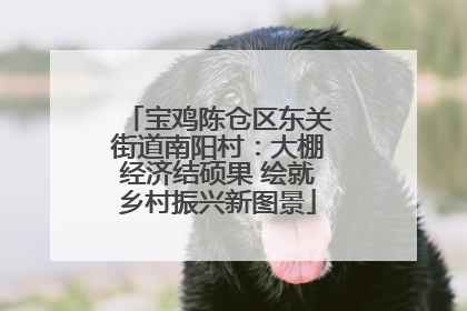宝鸡陈仓区东关街道南阳村：大棚经济结硕果 绘就乡村振兴新图景