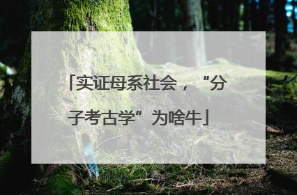 实证母系社会，“分子考古学”为啥牛