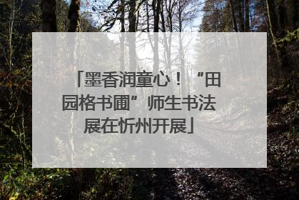 墨香润童心！“田园格书圃”师生书法展在忻州开展