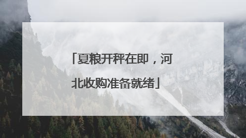 夏粮开秤在即，河北收购准备就绪
