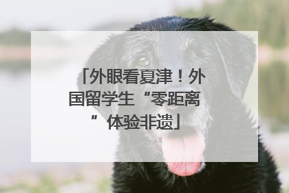外眼看夏津！外国留学生“零距离”体验非遗