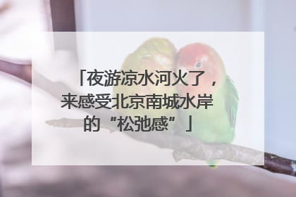 夜游凉水河火了，来感受北京南城水岸的“松弛感”