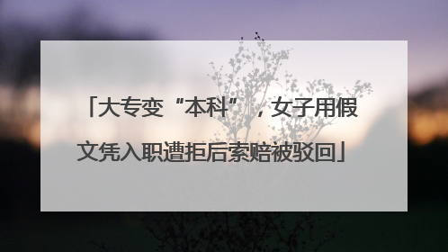 大专变“本科”，女子用假文凭入职遭拒后索赔被驳回