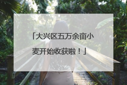 大兴区五万余亩小麦开始收获啦！
