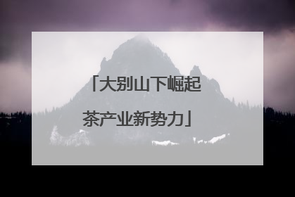 大别山下崛起茶产业新势力