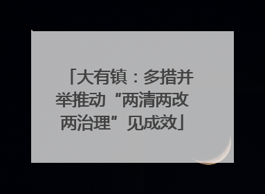 大有镇：多措并举推动“两清两改两治理”见成效