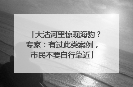 大沽河里惊现海豹？专家：有过此类案例，市民不要自行靠近