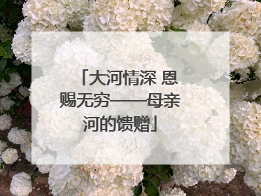 大河情深 恩赐无穷——母亲河的馈赠