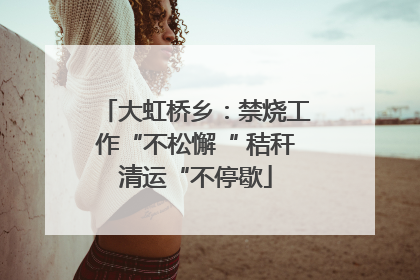 大虹桥乡：禁烧工作“不松懈“ 秸秆清运“不停歇