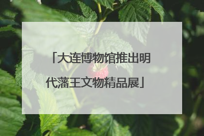 大连博物馆推出明代藩王文物精品展