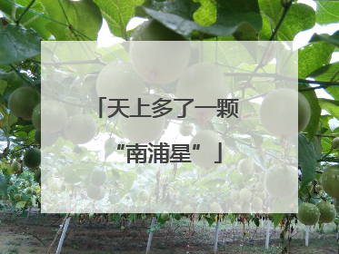 天上多了一颗“南浦星”