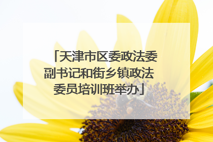 天津市区委政法委副书记和街乡镇政法委员培训班举办