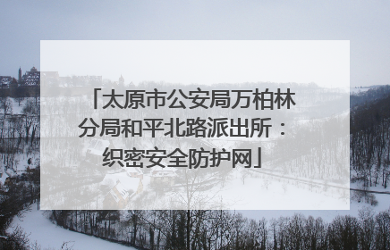 太原市公安局万柏林分局和平北路派出所：织密安全防护网