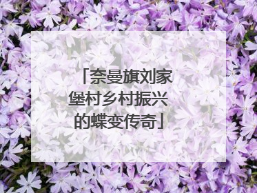 奈曼旗刘家堡村乡村振兴的蝶变传奇